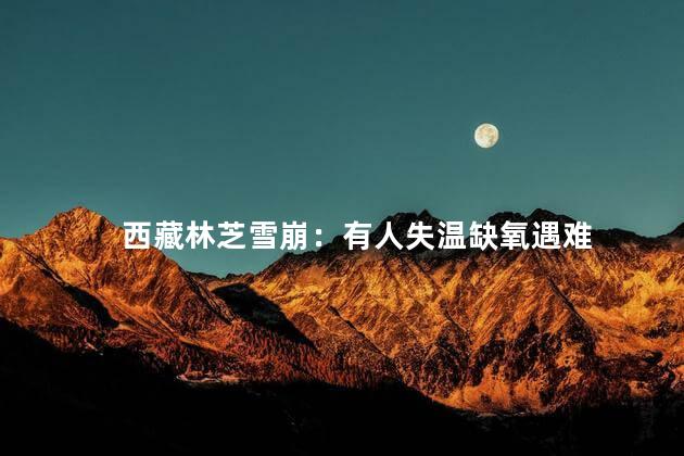 西藏林芝雪崩：有人失温缺氧遇难