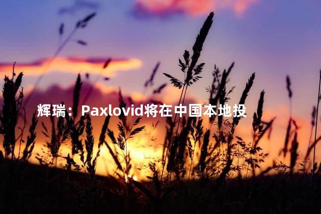 辉瑞：Paxlovid将在中国本地投产