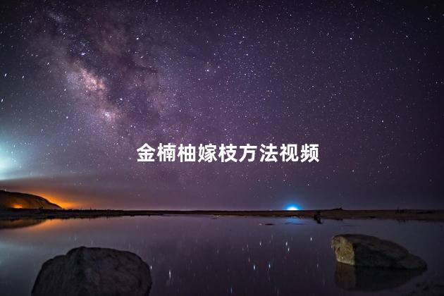 金楠柚嫁枝方法 金楠柚可以吃吗