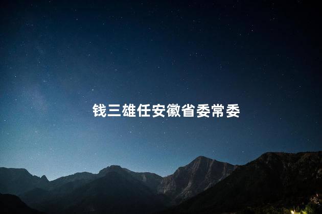 钱三雄任安徽省委常委