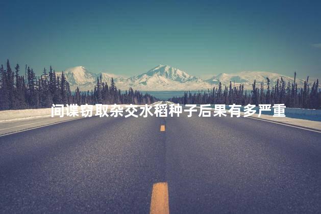 间谍窃取杂交水稻种子后果有多严重