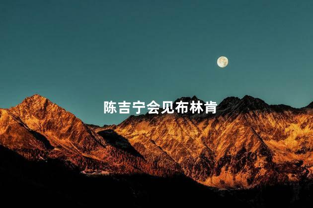 陈吉宁会见布林肯