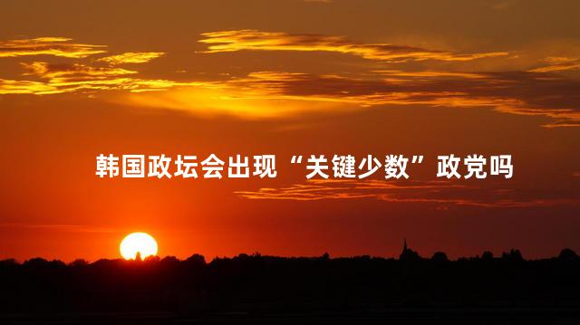 韩国政坛会出现“关键少数”政党吗