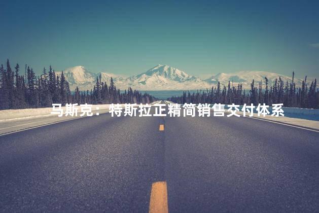 马斯克：特斯拉正精简销售交付体系
