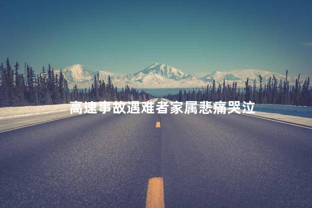 高速事故遇难者家属悲痛哭泣