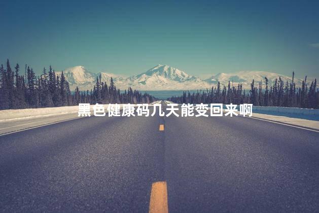 黑色健康码几天能变回来啊 健康码变色了多久才能变回来
